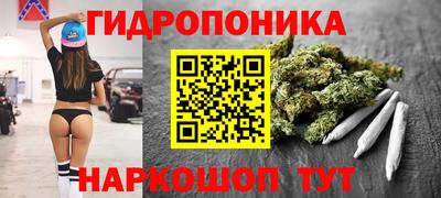 гидра Малгобек